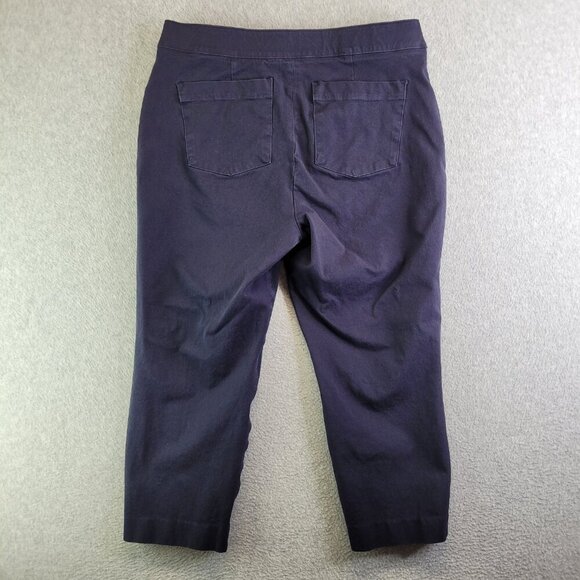 Spanx Pants Womens LP Blue Polished Ankle Slim Slimming Pull On High Rise - Picture 12 of 13